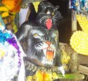 pulikkali-2011 (28)